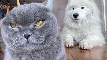 Reprodução/Instagram @beauthesammy