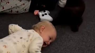 Reprodução/ Vídeo