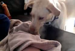 Reprodução/ Vídeo