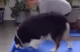 Reprodução/ Vídeo