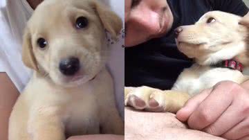 Reprodução/Instagram @ofcmaxmaciel