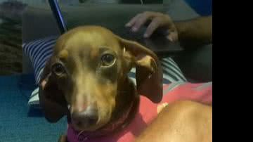 Reprodução/ Vídeo