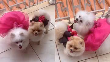 Reprodução/Instagram @eliezer