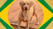 Reprodução/ Redes Sociais