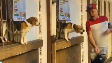 Reprodução/TikTok @yolandagomez021