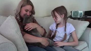 Reprodução / YouTube