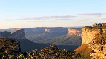 Divulgação / MARCIA RODRIGUES - Pixabay