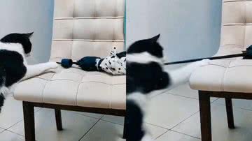 Reprodução/TikTok @lourencofabiane