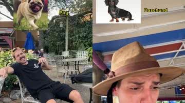 Reprodução / TikTok @madaebica