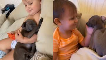 Reprodução / Twitter @itimaliasof