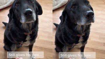 Reprodução / Redes Sociais