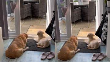 Reprodução / Redes Sociais