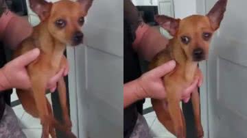 Reprodução / Redes Sociais