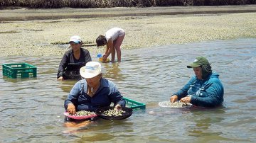 Divulgação/Codevasf
