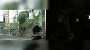 Reprodução TV Itapoan