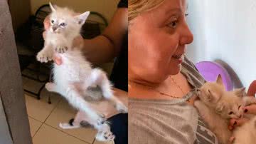 Reprodução/TikTok @marcosmorais1995