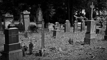 Reprodução/Pixabay