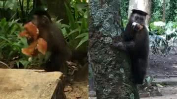 Reprodução/TikTok @manuperesgodoy