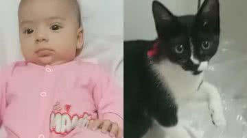 Reprodução/TikTok @vihrods