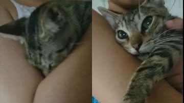 Reprodução/TikTok @larakaroliny7