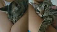 Reprodução/TikTok @larakaroliny7