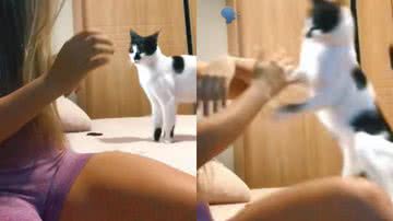 Reprodução/TikTok @elislarissinha