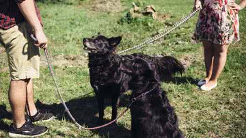 Reprodução/Pixabay