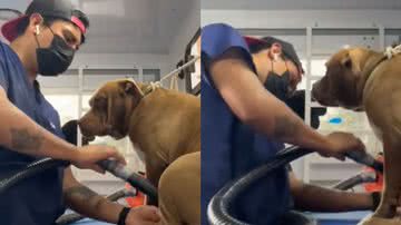 Reprodução/TikTok @rasec_eljulio