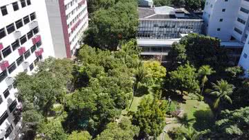 Alex Costa/Unicap/Divulgação