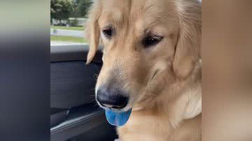 Arquivo pessoal/Rhonda Meeks