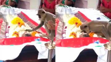 Reprodução/Twitter @effay123