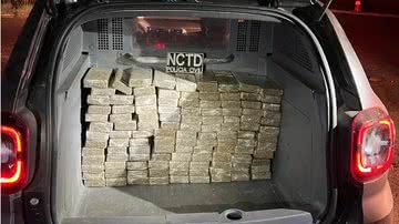 Polícia Civil/Divulgação