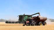 Imagem Passa a valer decreto que obriga condutor de máquinas agrícolas a portar registro