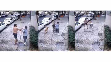 Montagem BNews/ Reprodução Vídeo
