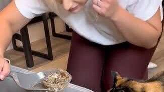 Reprodução/ Vídeo