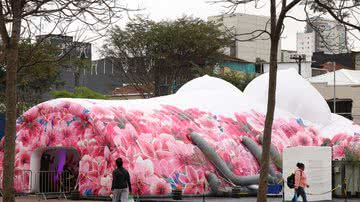 Rovena Rosa/Agência Brasil