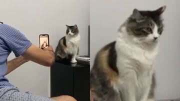 Reprodução/TikTok @garotamanda