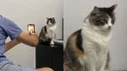 Reprodução/TikTok @garotamanda
