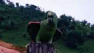 Reprodução/ Vídeo