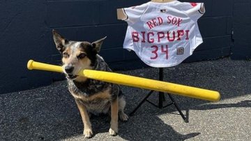 Reprodução/Instagram @therealbigpupi