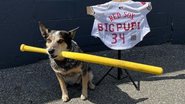 Reprodução/Instagram @therealbigpupi