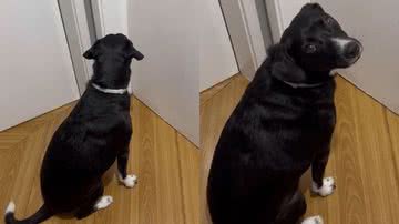 Reprodução/TikTok @oreofigueiredo