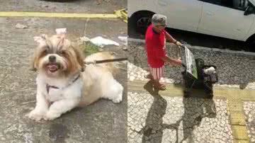 Reprodução/Redes Sociais