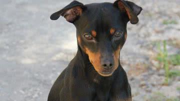 Javier Iborra por Pixabay