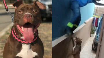 Reprodução/TikTok @guilhermealvesfx