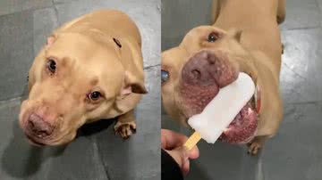 Reprodução/TikTok @juuhleitee