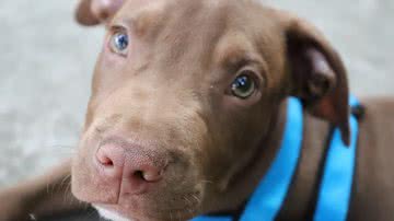 Ilustrativa / Pixabay