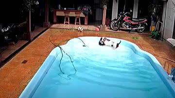 Reprodução/Youtube