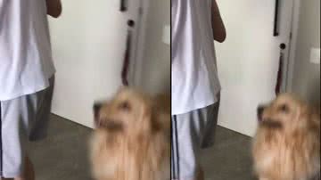 Reprodução /  Tik Tok