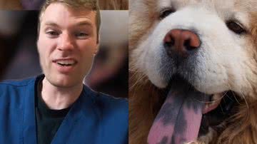 Reprodução/TikTok @ben.the.vet